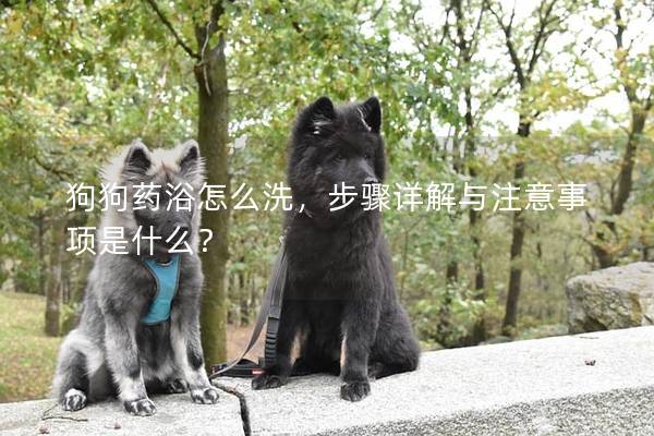 狗狗藥浴怎么洗,步驟詳解與注意事項是什么? 狗狗藥浴怎么洗,步驟詳解與注意事項是什么?