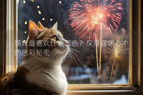貓咪最喜歡什么顏色？探尋貓咪心中的色彩秘密