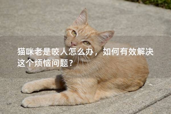 貓咪老是咬人怎么辦，如何有效解決這個煩惱問題？
