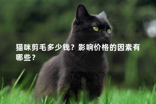 貓咪剪毛多少錢(qián)?影響價(jià)格的因素有哪些? 貓咪剪毛多少錢(qián)?影響價(jià)格的因素有哪些?