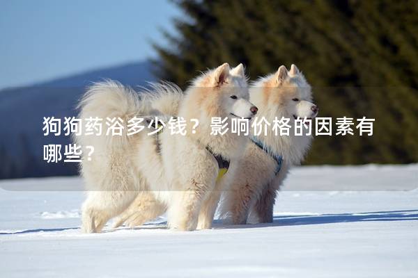 狗狗藥浴多少錢？影響價格的因素有哪些？