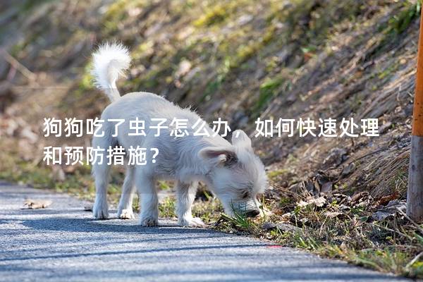 狗狗吃了蟲(chóng)子怎么辦，如何快速處理和預(yù)防措施？
