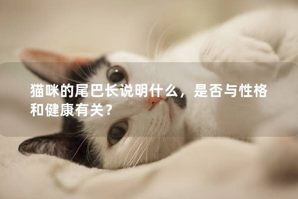 貓咪的尾巴長(zhǎng)說(shuō)明什么，是否與性格和健康有關(guān)？
