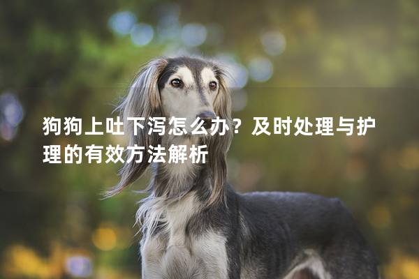 狗狗上吐下瀉怎么辦？及時處理與護理的有效方法解析