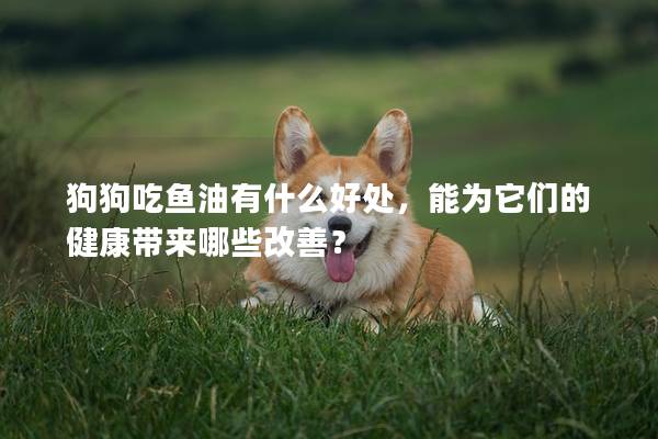 狗狗吃魚油有什么好處，能為它們的健康帶來哪些改善？