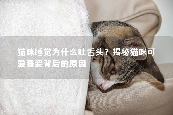 貓咪睡覺為什么吐舌頭？揭秘貓咪可愛睡姿背后的原因