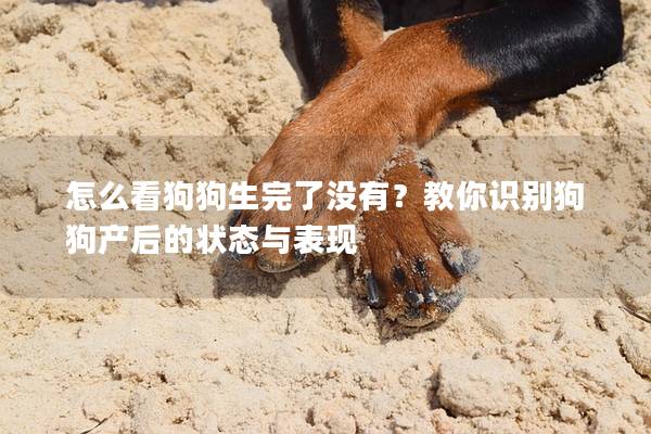 怎么看狗狗生完了沒有？教你識別狗狗產(chǎn)后的狀態(tài)與表現(xiàn)