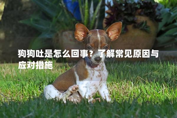 狗狗吐是怎么回事？了解常見原因與應(yīng)對措施