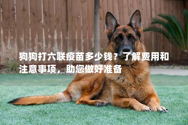 狗狗打六聯(lián)疫苗多少錢?了解費(fèi)用和注意事項(xiàng),助您做好準(zhǔn)備 狗狗打六聯(lián)疫苗多少錢?了解費(fèi)用和注意事項(xiàng),助您做好準(zhǔn)備