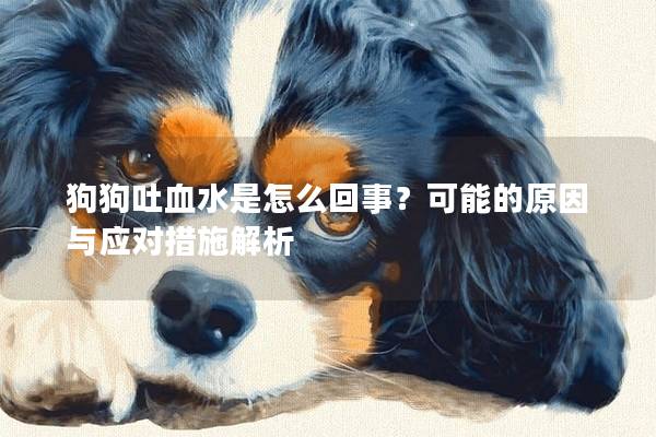 狗狗吐血水是怎么回事？可能的原因與應對措施解析