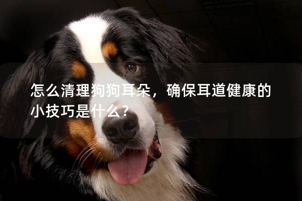 怎么清理狗狗耳朵，確保耳道健康的小技巧是什么？