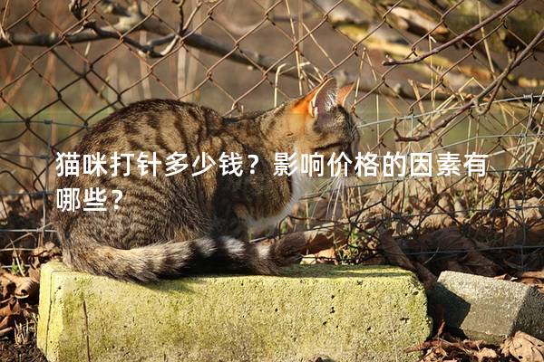 貓咪打針多少錢？影響價(jià)格的因素有哪些？
