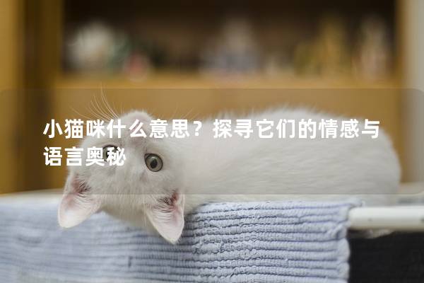 小貓咪什么意思？探尋它們的情感與語言奧秘