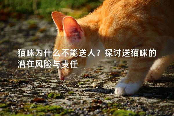 貓咪為什么不能送人？探討送貓咪的潛在風(fēng)險(xiǎn)與責(zé)任