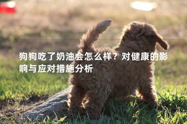 狗狗吃了奶油會怎么樣？對健康的影響與應對措施分析