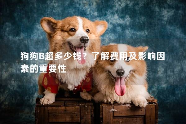 狗狗B超多少錢？了解費用及影響因素的重要性