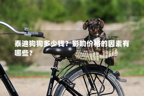 泰迪狗狗多少錢？影響價格的因素有哪些？