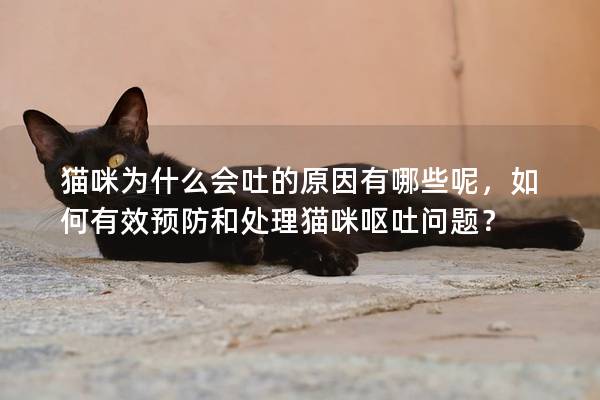 貓咪為什么會吐的原因有哪些呢，如何有效預防和處理貓咪嘔吐問題？