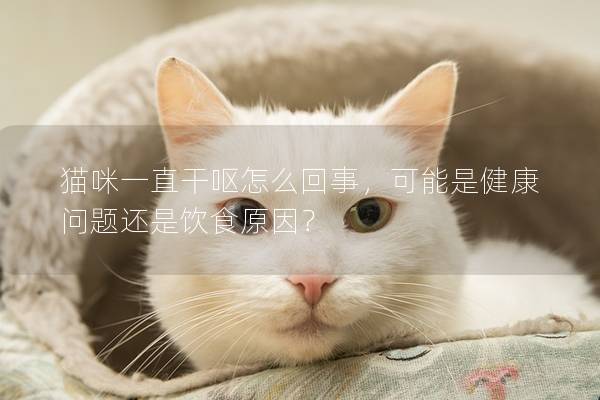 貓咪一直干嘔怎么回事，可能是健康問題還是飲食原因？