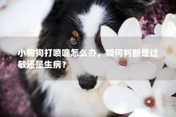 小狗狗打噴嚏怎么辦，如何判斷是過敏還是生?。?></em><p>小狗狗打噴嚏怎么辦，如何判斷是過敏還是生病？</p><span>2025-01-10</span></a></li> 
                                            </ul>
                                        </div>

                                        <div   id=