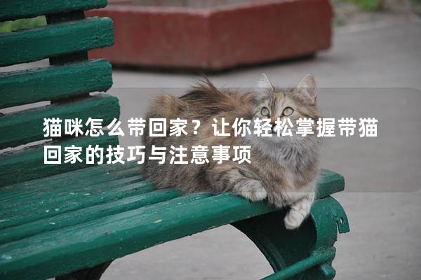 貓咪怎么帶回家?讓你輕松掌握帶貓回家的技巧與注意事項(xiàng) 貓咪怎么帶回家?讓你輕松掌握帶貓回家的技巧與注意事項(xiàng)
