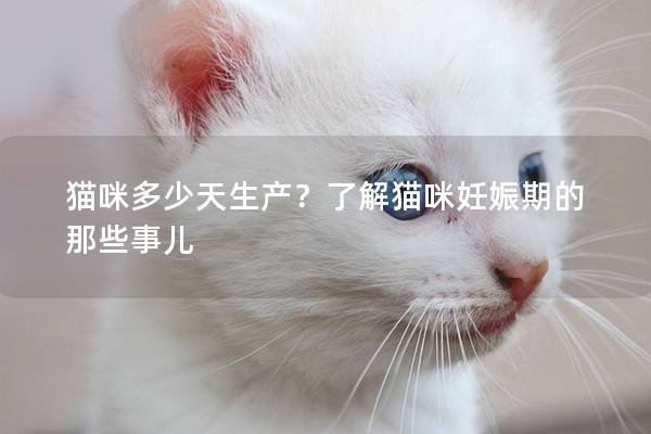 貓咪多少天生產？了解貓咪妊娠期的那些事兒