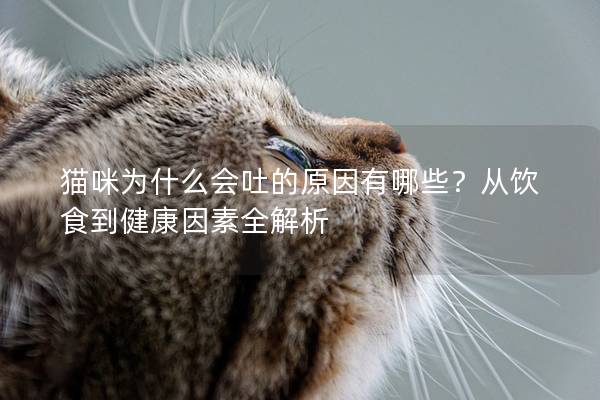 貓咪為什么會吐的原因有哪些？從飲食到健康因素全解析