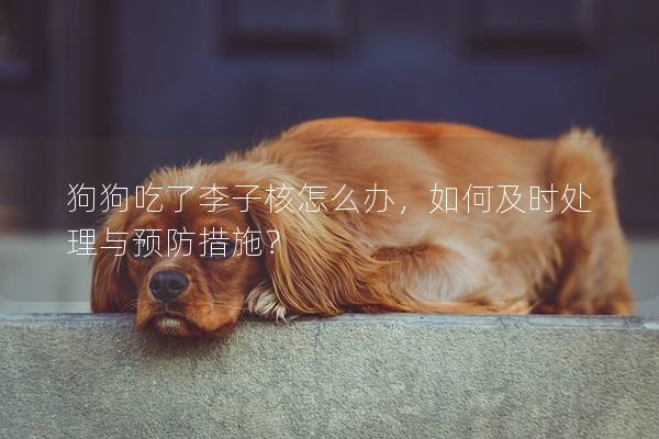 狗狗吃了李子核怎么辦，如何及時處理與預(yù)防措施？