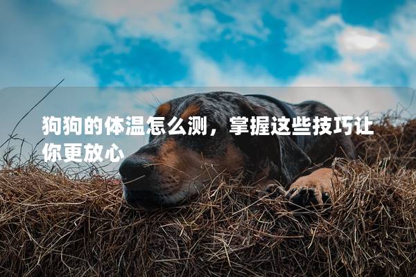 狗狗的體溫怎么測(cè),掌握這些技巧讓你更放心 狗狗的體溫怎么測(cè),掌握這些技巧讓你更放心