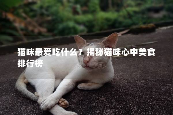 貓咪最愛吃什么？揭秘貓咪心中美食排行榜