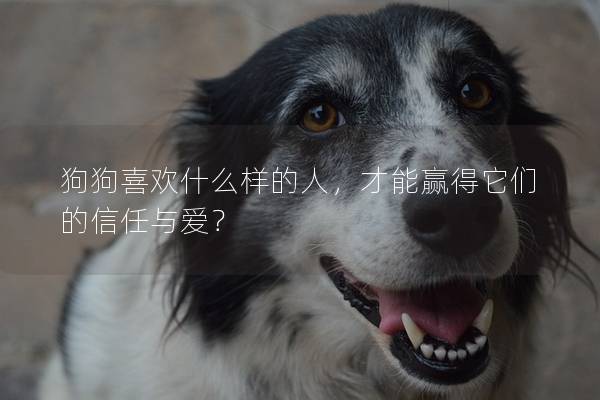 狗狗喜歡什么樣的人，才能贏得它們的信任與愛？