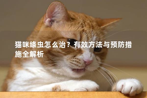 貓咪絳蟲怎么治？有效方法與預(yù)防措施全解析