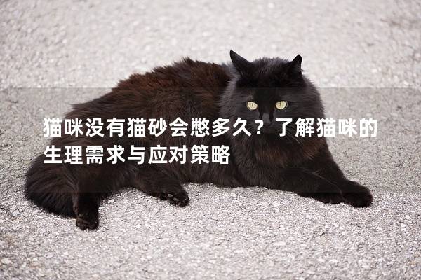 貓咪沒有貓砂會憋多久？了解貓咪的生理需求與應對策略