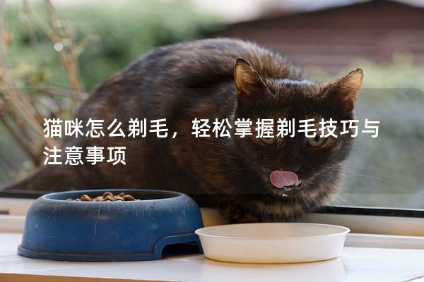 貓咪怎么剃毛，輕松掌握剃毛技巧與注意事項
