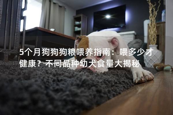 5個月狗狗狗糧喂養指南：喂多少才健康？不同品種幼犬食量大揭秘