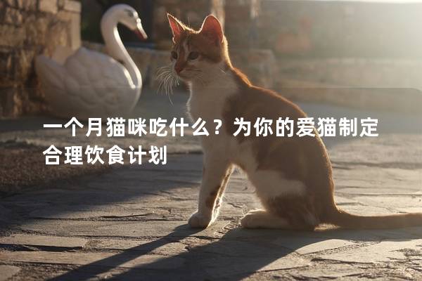 一個(gè)月貓咪吃什么？為你的愛(ài)貓制定合理飲食計(jì)劃