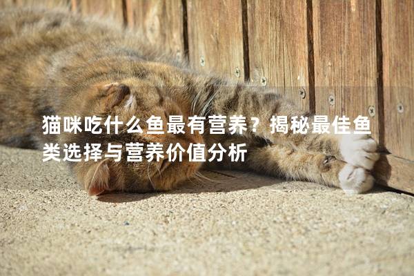 貓咪吃什么魚最有營養？揭秘最佳魚類選擇與營養價值分析