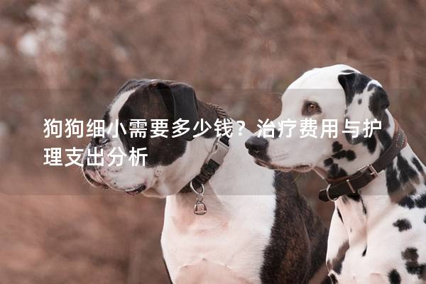 狗狗細(xì)小需要多少錢？治療費用與護(hù)理支出分析