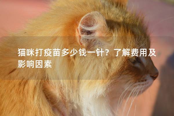 貓咪打疫苗多少錢一針？了解費用及影響因素