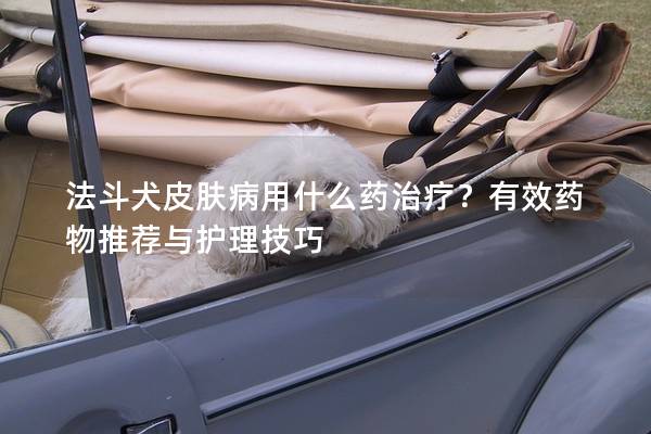 法斗犬皮膚病用什么藥治療？有效藥物推薦與護理技巧
