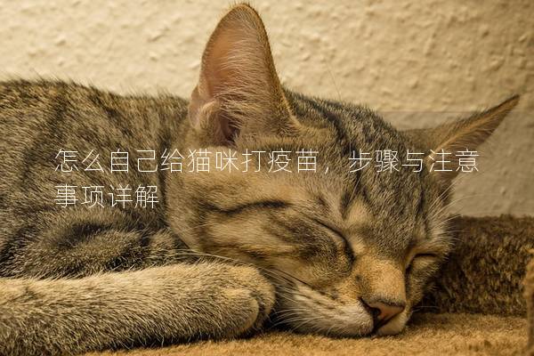 怎么自己給貓咪打疫苗，步驟與注意事項詳解