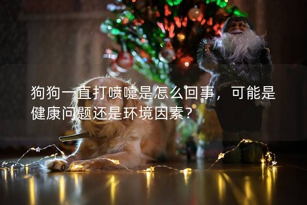 狗狗一直打噴嚏是怎么回事，可能是健康問題還是環(huán)境因素？