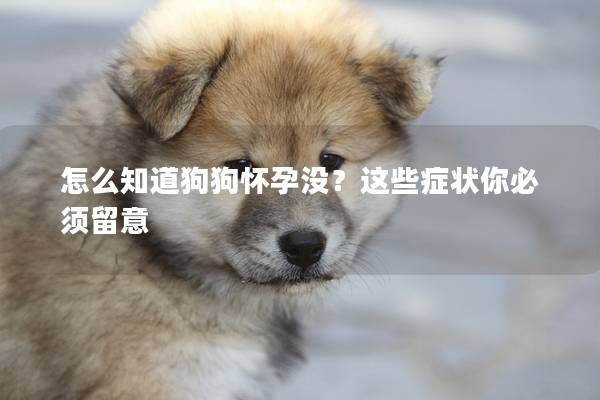 怎么知道狗狗懷孕沒？這些癥狀你必須留意