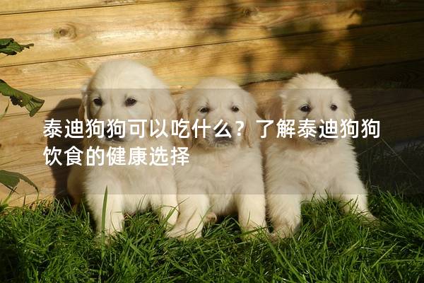 泰迪狗狗可以吃什么？了解泰迪狗狗飲食的健康選擇