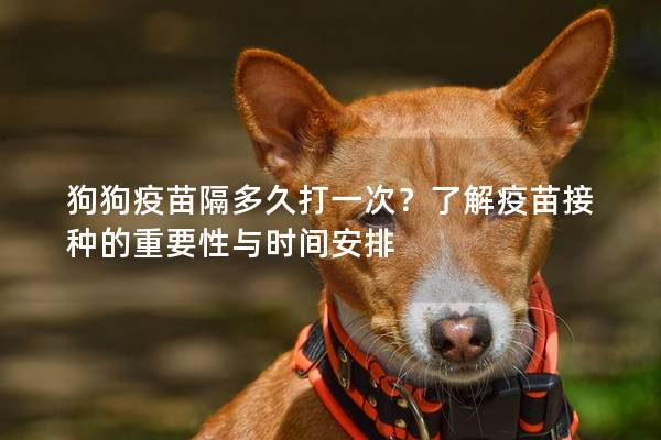 狗狗疫苗隔多久打一次？了解疫苗接種的重要性與時(shí)間安排