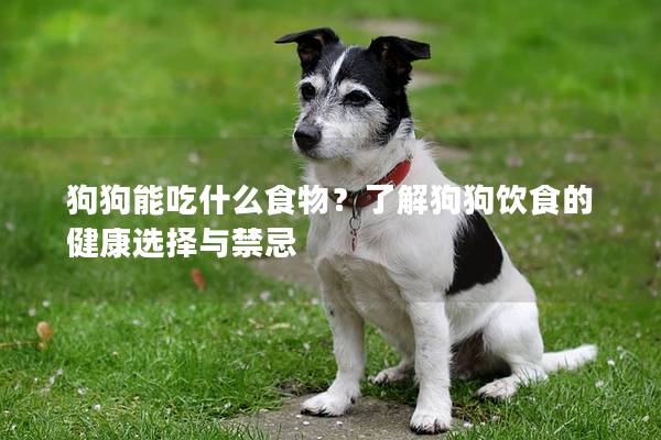 狗狗能吃什么食物？了解狗狗飲食的健康選擇與禁忌