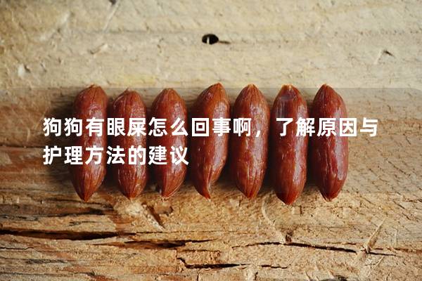 狗狗有眼屎怎么回事啊，了解原因與護理方法的建議