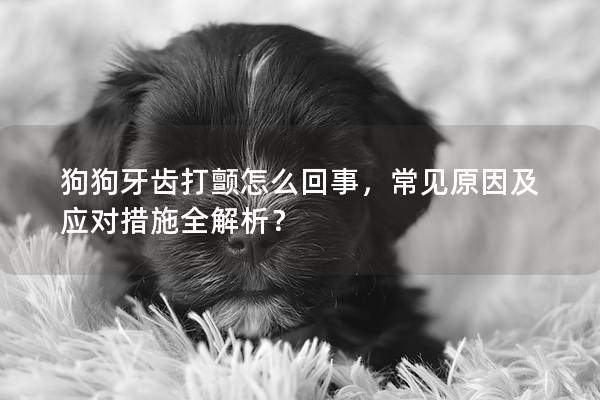 狗狗牙齒打顫怎么回事，常見原因及應對措施全解析？