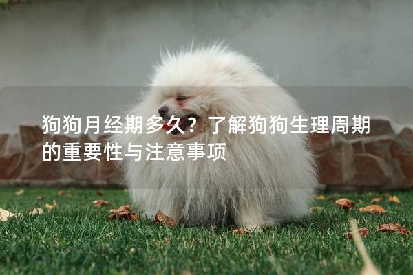 狗狗月經期多久？了解狗狗生理周期的重要性與注意事項