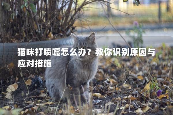 貓咪打噴嚏怎么辦？教你識別原因與應(yīng)對措施